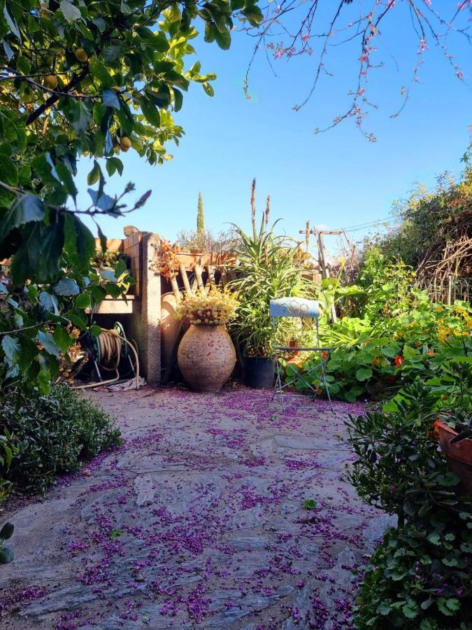 Maison Chaleureuse Au Coeur Des Aspres Camelas ภายนอก รูปภาพ